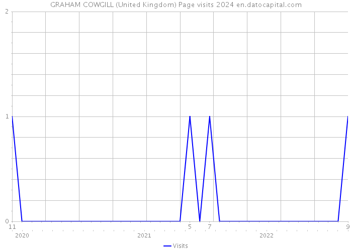 GRAHAM COWGILL (United Kingdom) Page visits 2024 