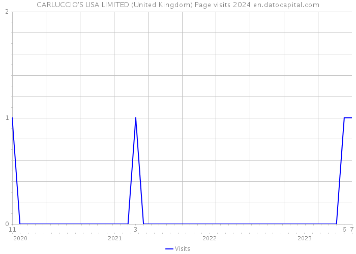 CARLUCCIO'S USA LIMITED (United Kingdom) Page visits 2024 
