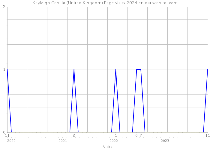 Kayleigh Capilla (United Kingdom) Page visits 2024 