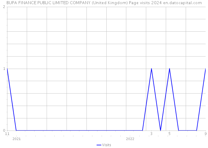 BUPA FINANCE PUBLIC LIMITED COMPANY (United Kingdom) Page visits 2024 