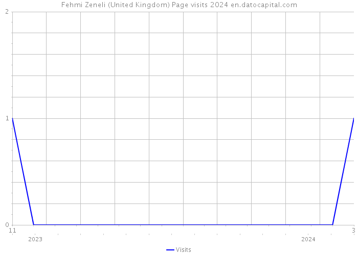 Fehmi Zeneli (United Kingdom) Page visits 2024 