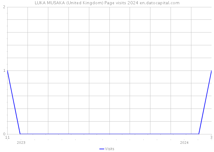 LUKA MUSAKA (United Kingdom) Page visits 2024 