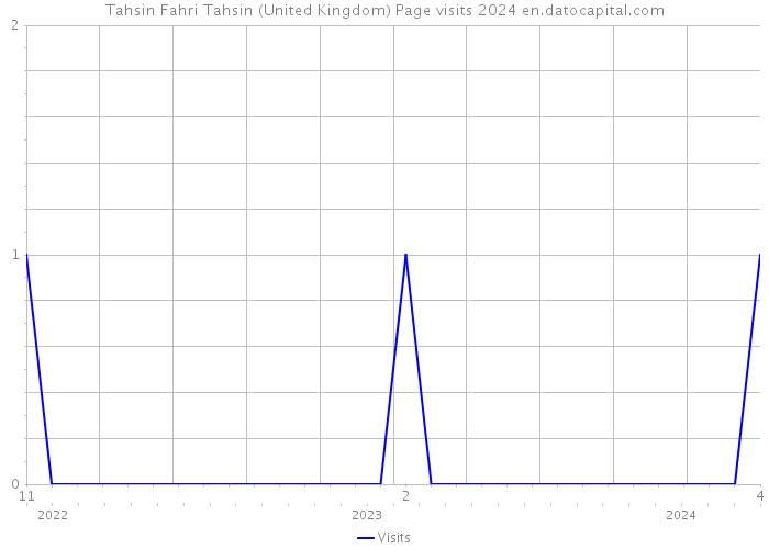 Tahsin Fahri Tahsin (United Kingdom) Page visits 2024 