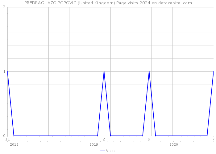 PREDRAG LAZO POPOVIC (United Kingdom) Page visits 2024 