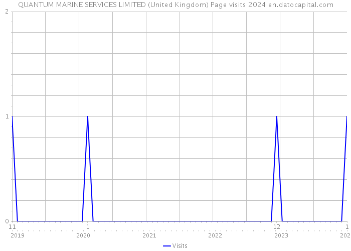 QUANTUM MARINE SERVICES LIMITED (United Kingdom) Page visits 2024 
