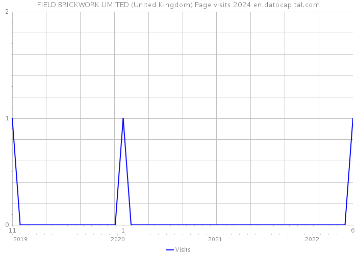 FIELD BRICKWORK LIMITED (United Kingdom) Page visits 2024 