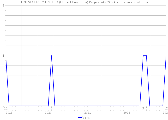 TOP SECURITY LIMITED (United Kingdom) Page visits 2024 