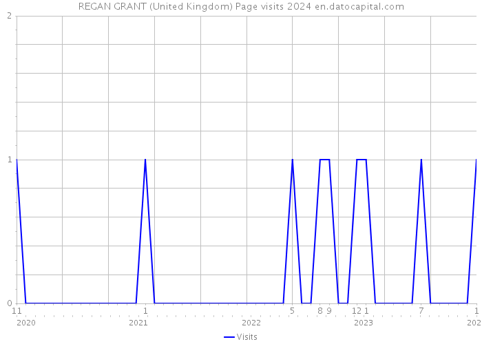 REGAN GRANT (United Kingdom) Page visits 2024 