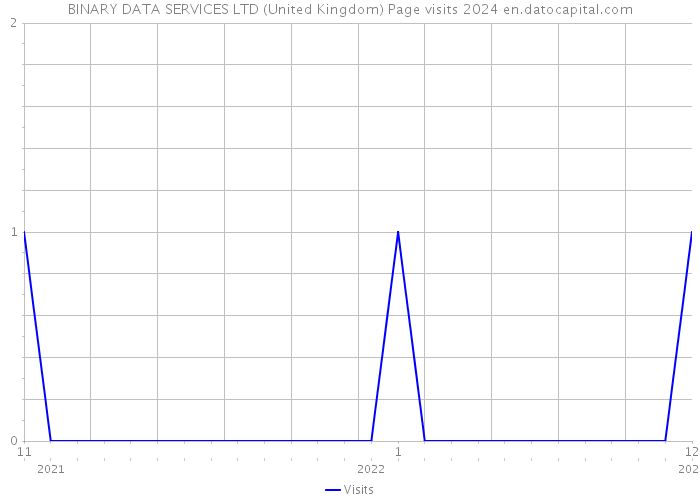BINARY DATA SERVICES LTD (United Kingdom) Page visits 2024 