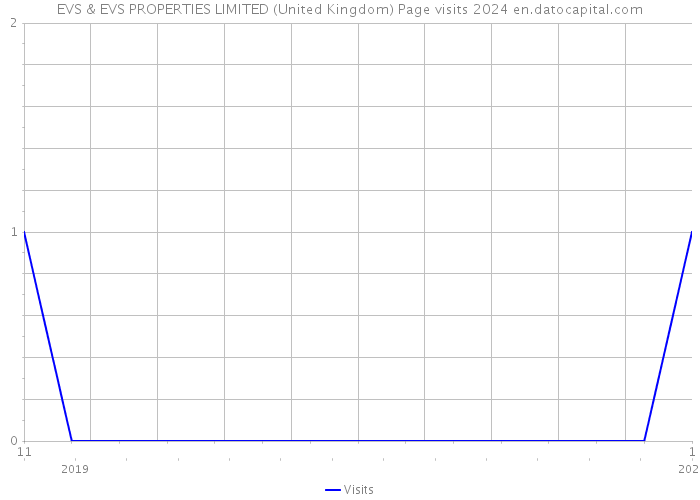 EVS & EVS PROPERTIES LIMITED (United Kingdom) Page visits 2024 