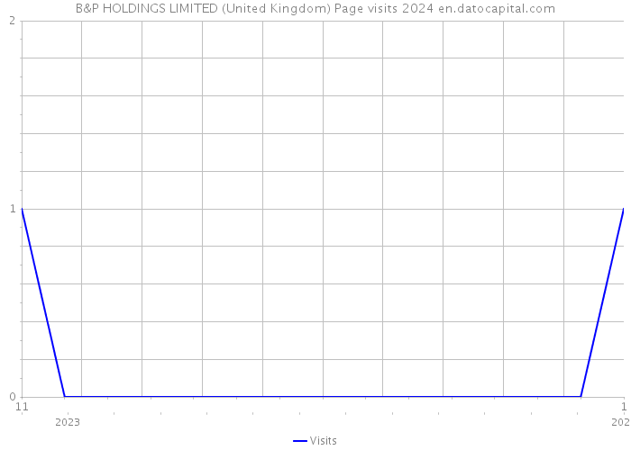 B&P HOLDINGS LIMITED (United Kingdom) Page visits 2024 