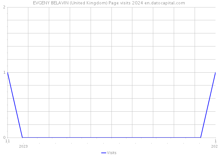EVGENY BELAVIN (United Kingdom) Page visits 2024 