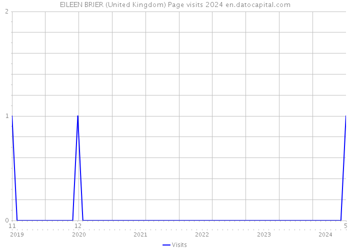 EILEEN BRIER (United Kingdom) Page visits 2024 