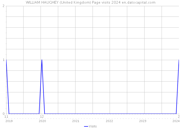WILLIAM HAUGHEY (United Kingdom) Page visits 2024 