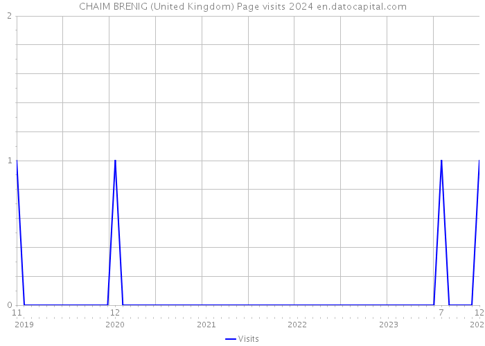 CHAIM BRENIG (United Kingdom) Page visits 2024 