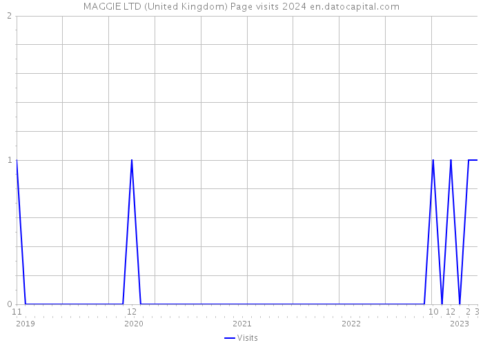 MAGGIE LTD (United Kingdom) Page visits 2024 