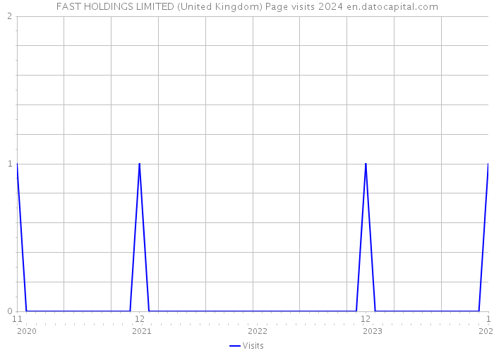 FAST HOLDINGS LIMITED (United Kingdom) Page visits 2024 