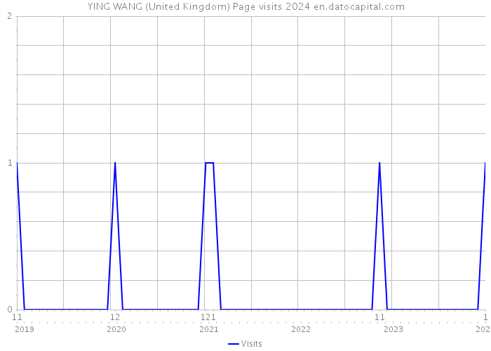 YING WANG (United Kingdom) Page visits 2024 