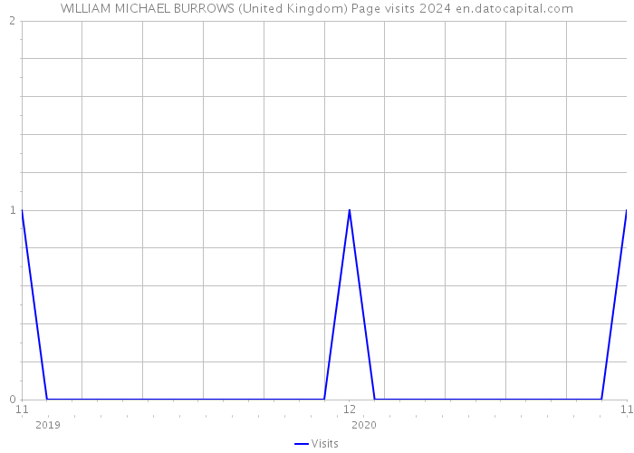 WILLIAM MICHAEL BURROWS (United Kingdom) Page visits 2024 