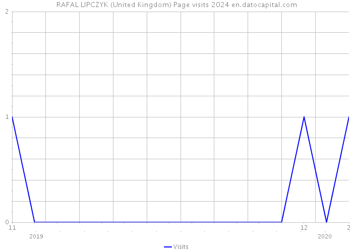 RAFAL LIPCZYK (United Kingdom) Page visits 2024 