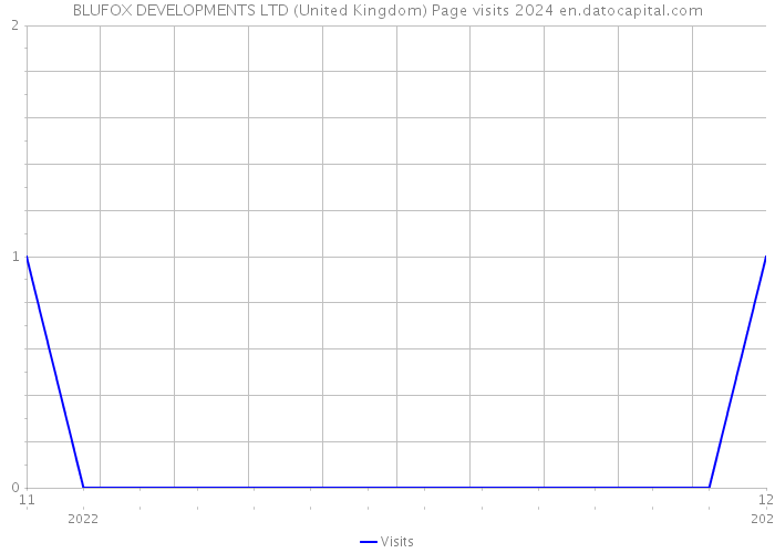 BLUFOX DEVELOPMENTS LTD (United Kingdom) Page visits 2024 
