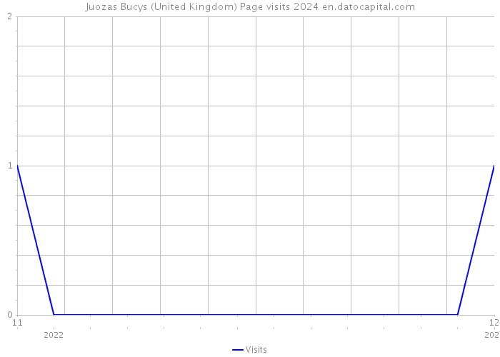 Juozas Bucys (United Kingdom) Page visits 2024 