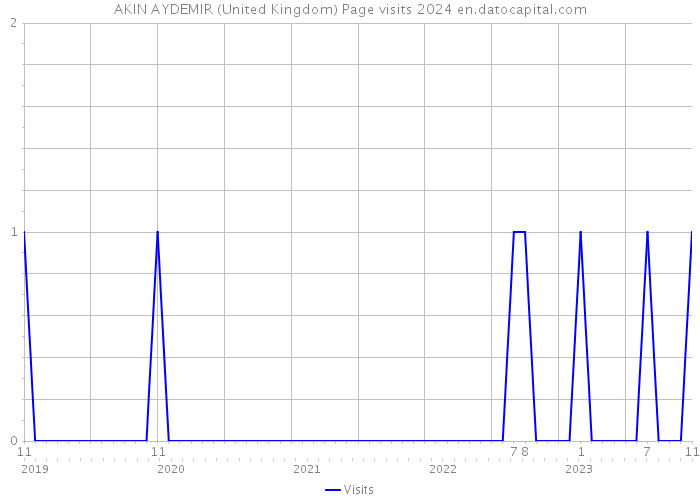 AKIN AYDEMIR (United Kingdom) Page visits 2024 
