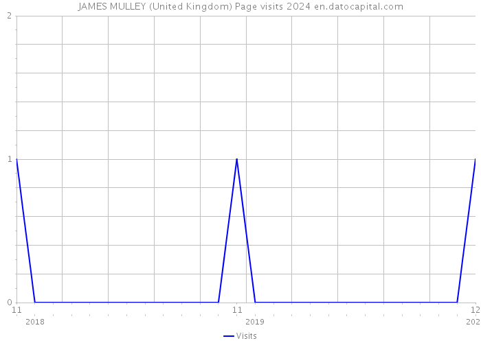JAMES MULLEY (United Kingdom) Page visits 2024 