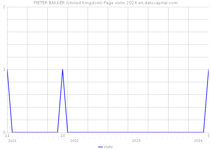 PIETER BAKKER (United Kingdom) Page visits 2024 