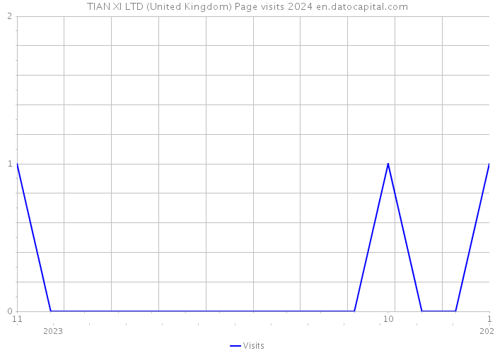 TIAN XI LTD (United Kingdom) Page visits 2024 