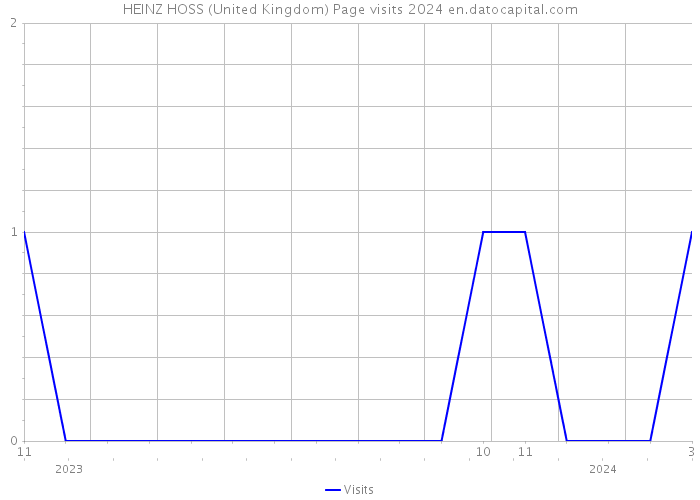 HEINZ HOSS (United Kingdom) Page visits 2024 