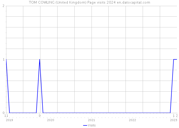 TOM COWLING (United Kingdom) Page visits 2024 