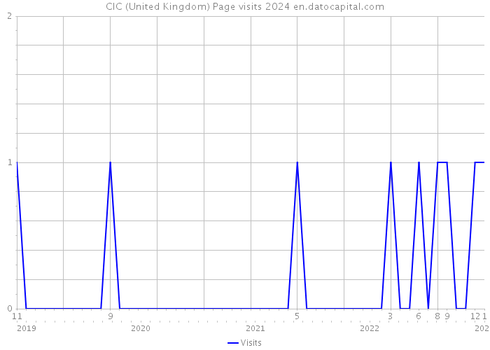 CIC (United Kingdom) Page visits 2024 