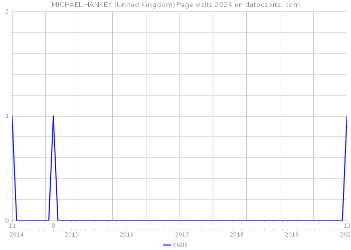 MICHAEL HANKEY (United Kingdom) Page visits 2024 