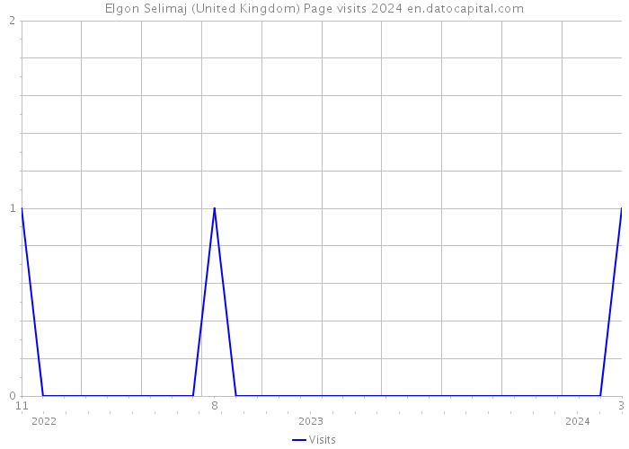 Elgon Selimaj (United Kingdom) Page visits 2024 