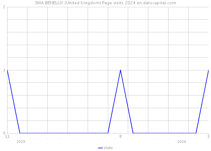 SMA BENELUX (United Kingdom) Page visits 2024 