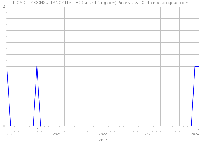 PICADILLY CONSULTANCY LIMITED (United Kingdom) Page visits 2024 