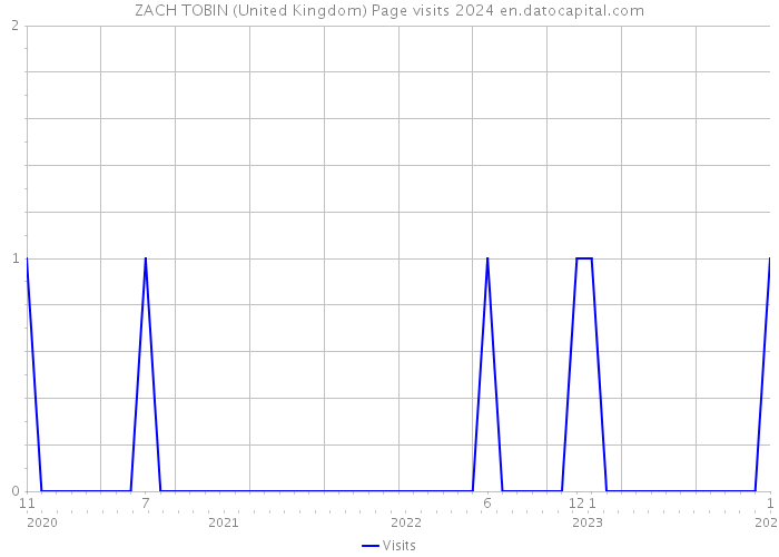 ZACH TOBIN (United Kingdom) Page visits 2024 