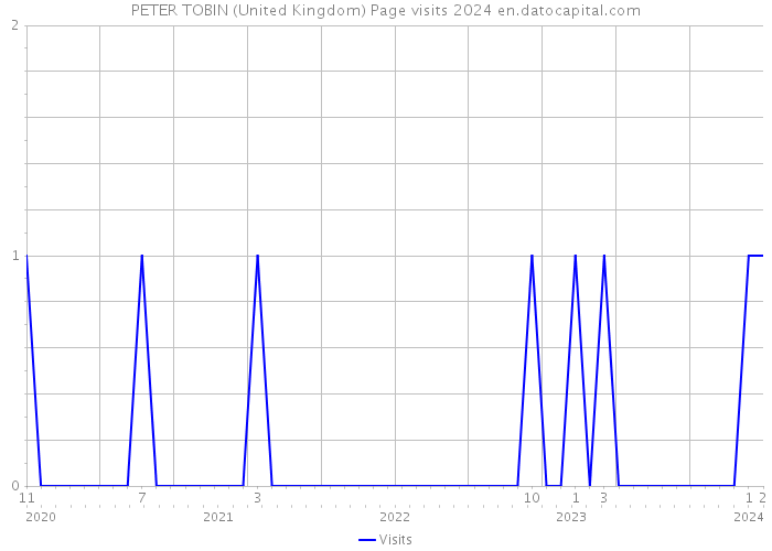 PETER TOBIN (United Kingdom) Page visits 2024 