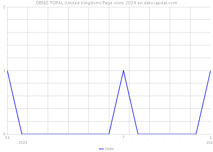 DENIZ TOPAL (United Kingdom) Page visits 2024 