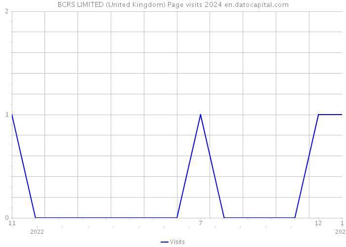 BCRS LIMITED (United Kingdom) Page visits 2024 