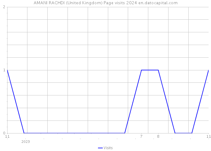 AMANI RACHDI (United Kingdom) Page visits 2024 