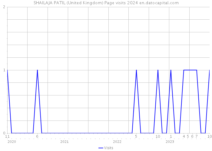 SHAILAJA PATIL (United Kingdom) Page visits 2024 