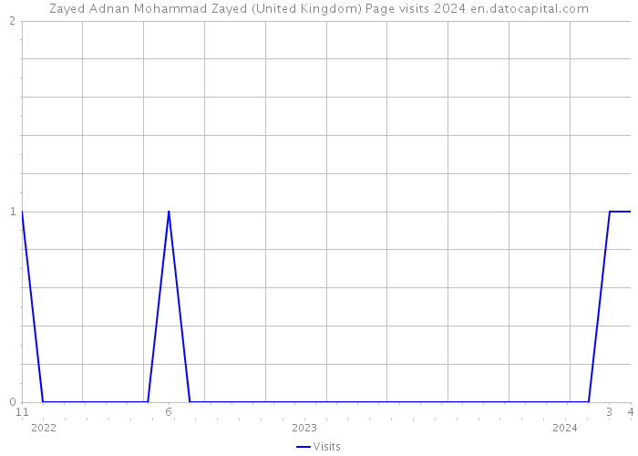 Zayed Adnan Mohammad Zayed (United Kingdom) Page visits 2024 