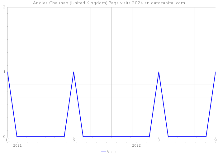 Anglea Chauhan (United Kingdom) Page visits 2024 