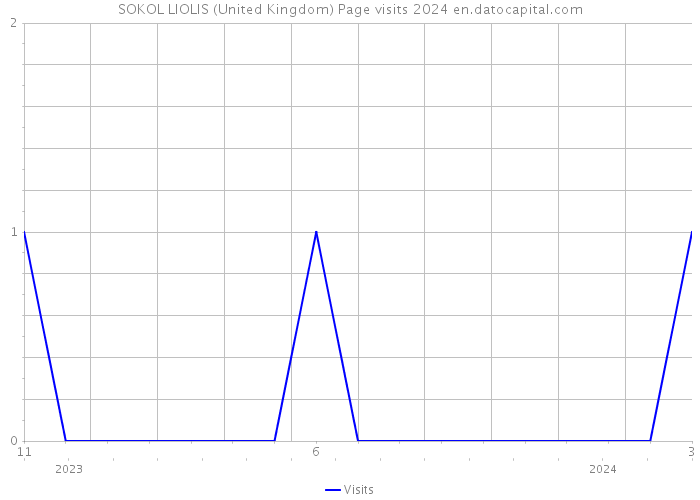 SOKOL LIOLIS (United Kingdom) Page visits 2024 