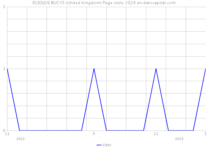 EGIDIJUS BUCYS (United Kingdom) Page visits 2024 
