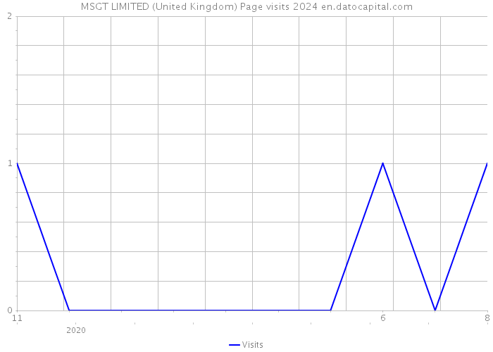MSGT LIMITED (United Kingdom) Page visits 2024 