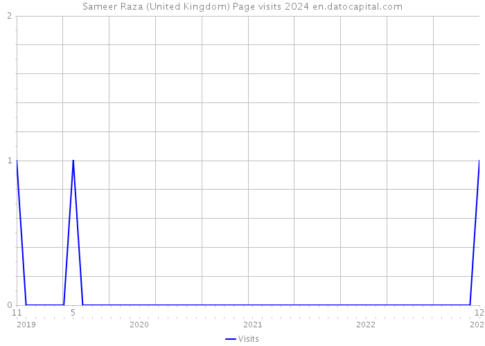 Sameer Raza (United Kingdom) Page visits 2024 