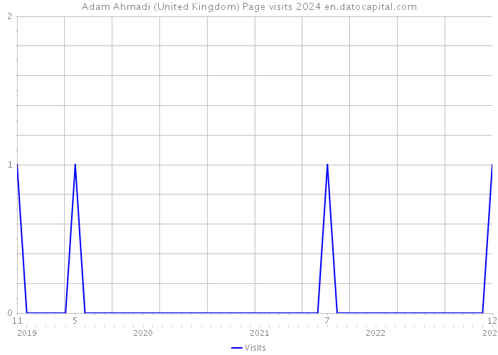 Adam Ahmadi (United Kingdom) Page visits 2024 